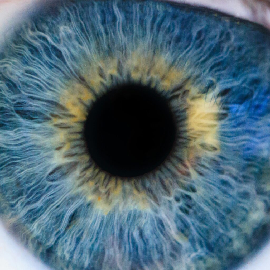 CAEPS eye model