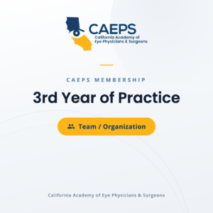 3rd Year of Practice — Team product image